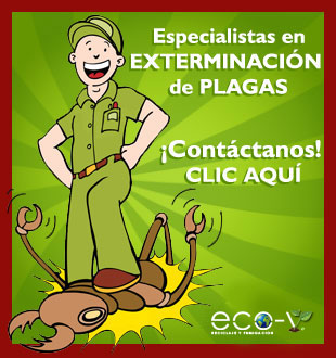 Exterminacin de Plagas